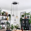 Gastor Lampadario a sospensione, Lampada a sfera, Lampada a sospensione Ambrato, Chiaro, Grigio fumo, 3-Luci