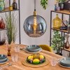 Koyoto Lampadario a sospensione, Lampada a sfera, Lampada a sospensione Oro, 1-Luce