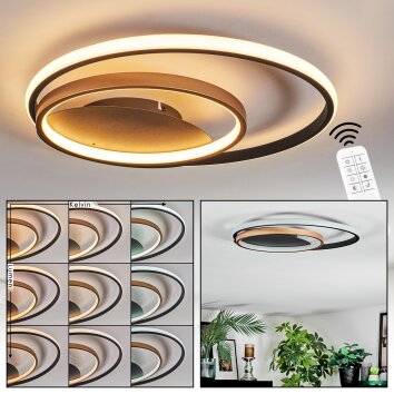 Trapani Plafoniera LED Oro, Nero, 1-Luce, Telecomando