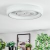 Rarel Plafoniera LED Argento, Bianco, 1-Luce