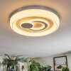 Rarel Plafoniera LED Argento, Bianco, 1-Luce