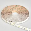 Rayen Strisce LED LED Bianco, 1-Luce