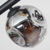 Ripoll Plafoniera, Lampada a sfera Ambrato, Chiaro, Grigio fumo, 6-Luci