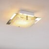Rusty Plafoniera Grigio, Trasparente, chiaro, 2-Luci