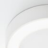 Brillliant Whittaker Plafoniera da esterno LED Bianco, 1-Luce