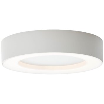 Brillliant Whittaker Plafoniera da esterno LED Bianco, 1-Luce