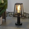 Juanico Lampioncino Segnapasso Chiaro, Nero, 1-Luce