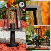 Juanico Lampada con piedistallo Nero, 1-Luce