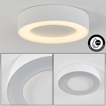 Paleroo Plafoniera da esterno LED Bianco, 1-Luce