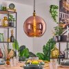 Koyoto Lampadario a sospensione, Lampada a sfera, Lampada a sospensione Oro, 1-Luce