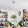 Koyoto Lampadario a sospensione, Lampada a sfera, Lampada a sospensione Oro, 1-Luce