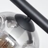 Ripoll Plafoniera, Lampada a sfera Chiaro, Grigio fumo, 10-Luci