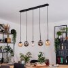 Gastor Lampadario a sospensione, Lampada a sfera, Lampada a sospensione Ambrato, Chiaro, Grigio fumo, 5-Luci
