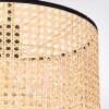 Ramila Plafoniera Écru, Nero, 1-Luce