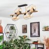 Koyoto Plafoniera, Lampada a sfera 85 cm Oro, Nero, 8-Luci