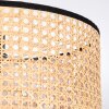 Ramila Plafoniera Écru, Nero, 1-Luce