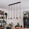 Gastor Lampadario a sospensione, Lampada a sfera, Lampada a sospensione Ambrato, Chiaro, Grigio fumo, 5-Luci