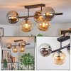 Gastor Plafoniera, Lampada a sfera Ambrato, Grigio fumo, 5-Luci