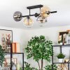 Gastor Plafoniera, Lampada a sfera Ambrato, Chiaro, Grigio fumo, 5-Luci
