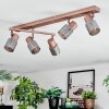 Nelar Plafoniera, Faretto da soffitto Bronzo, Cromo, 5-Luci