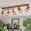 Nelar Plafoniera, Faretto da soffitto Bronzo, Cromo, 5-Luci