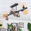 Chehalis Plafoniera, Lampada a sfera Ambrato, Grigio fumo, 8-Luci