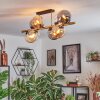 Gastor Plafoniera, Lampada a sfera Oro, Nero, 8-Luci