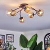 Chehalis Plafoniera, Lampada a sfera 56 cm Ambrato, Chiaro, 6-Luci