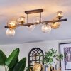 Chehalis Plafoniera, Lampada a sfera Ambrato, Chiaro, Grigio fumo, 8-Luci