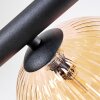 Chehalis Plafoniera, Lampada a sfera Ambrato, Chiaro, Grigio fumo, 8-Luci
