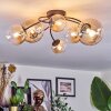 Chehalis Plafoniera, Lampada a sfera Ambrato, Chiaro, 6-Luci