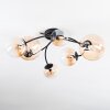 Chehalis Plafoniera, Lampada a sfera Ambrato, Chiaro, 6-Luci