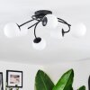 Chehalis Plafoniera, Lampada a sfera 56 cm Bianco, 6-Luci