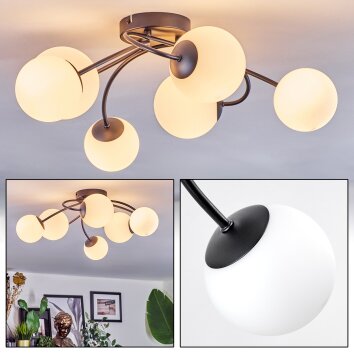 Chehalis Plafoniera, Lampada a sfera Bianco, 6-Luci Chehalis Plafoniera, Lampada a sfera Bianco, 6-Luci