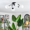 Chehalis Plafoniera, Lampada a sfera Bianco, 6-Luci