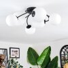 Chehalis Plafoniera, Lampada a sfera Bianco, 6-Luci