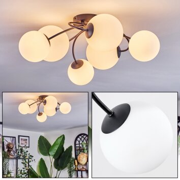 Chehalis Plafoniera, Lampada a sfera Bianco, 6-Luci Chehalis Plafoniera, Lampada a sfera Bianco, 6-Luci