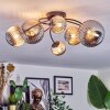 Chehalis Plafoniera, Lampada a sfera Grigio fumo, 6-Luci