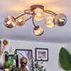 Chehalis Plafoniera, Lampada a sfera Ambrato, Grigio fumo, 6-Luci