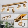 Javel Plafoniera, Faretto da soffitto Oro, 5-Luci