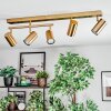 Javel Plafoniera, Faretto da soffitto Oro, 5-Luci