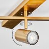 Javel Plafoniera, Faretto da soffitto Oro, 5-Luci