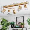 Javel Plafoniera, Faretto da soffitto Oro, 5-Luci