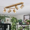 Javel Plafoniera, Faretto da soffitto Oro, 5-Luci