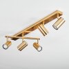 Javel Plafoniera, Faretto da soffitto Oro, 5-Luci