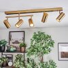Javel Plafoniera, Faretto da soffitto Oro, 5-Luci