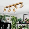 Javel Plafoniera, Faretto da soffitto Oro, 5-Luci