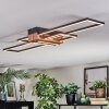 Macos Plafoniera LED Cromo, Aspetto del legno, Nero, 1-Luce