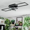 Hyacinthe Plafoniera, Lampada con ventilatore LED Cromo, Nero, 1-Luce, Telecomando