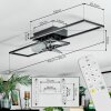 Hyacinthe Plafoniera, Lampada con ventilatore LED Cromo, Nero, 1-Luce, Telecomando